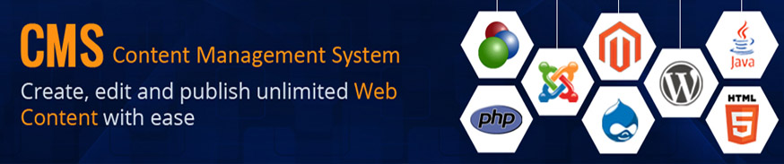 CMS Web Development Hyderabad